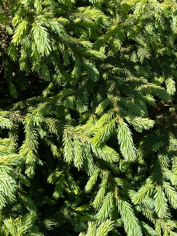 Гостевой дом Усадьба Демидова Листвянка-67