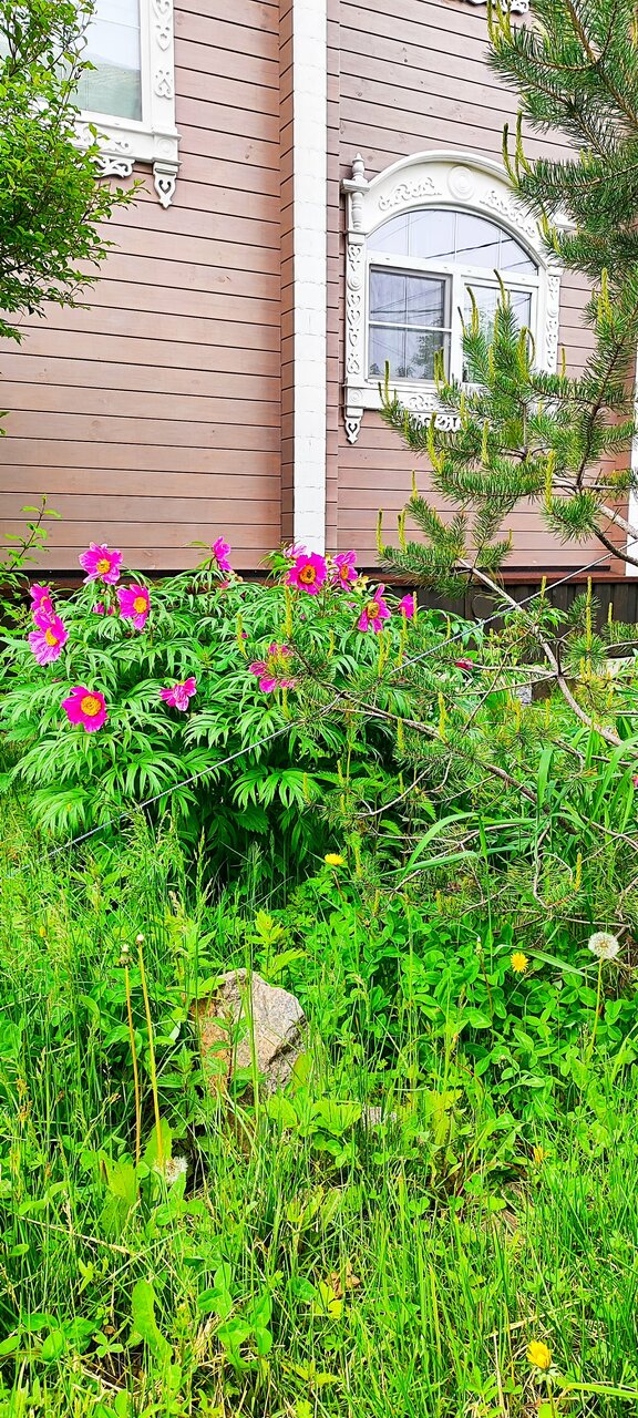 Гостевой дом Усадьба Демидова Листвянка-76