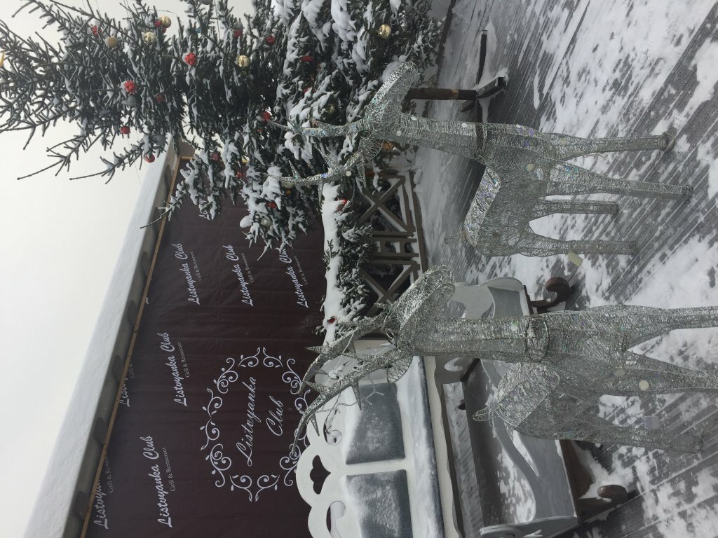 Гостевой дом Усадьба Демидова Листвянка-13