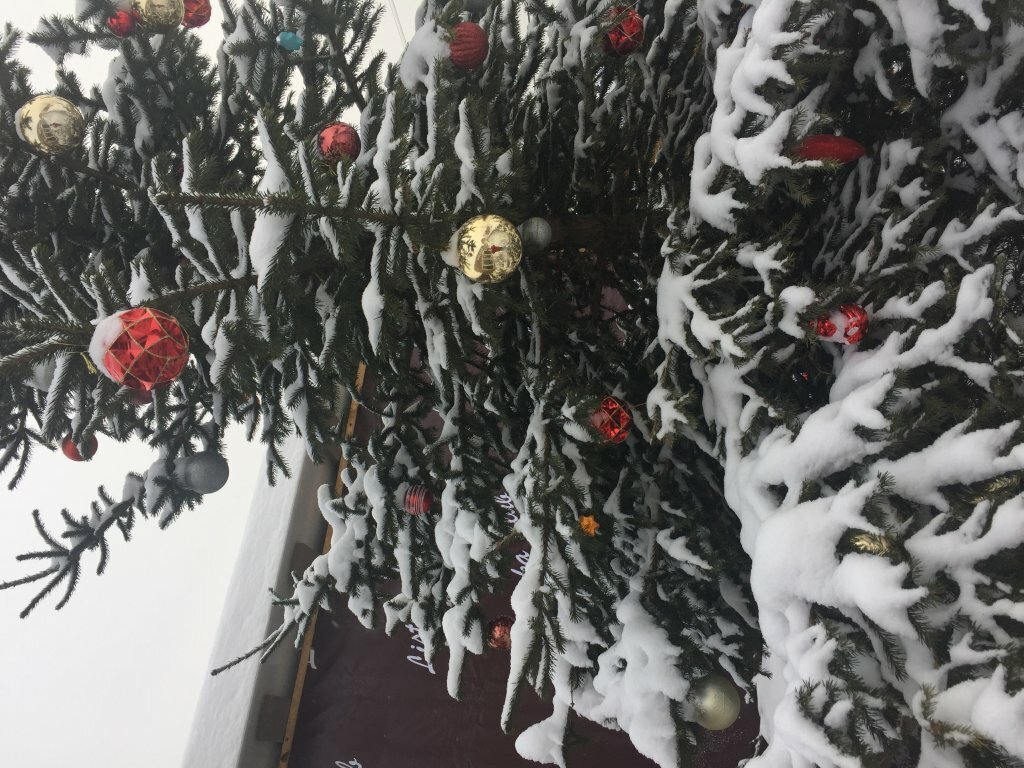 Гостевой дом Усадьба Демидова Листвянка-26