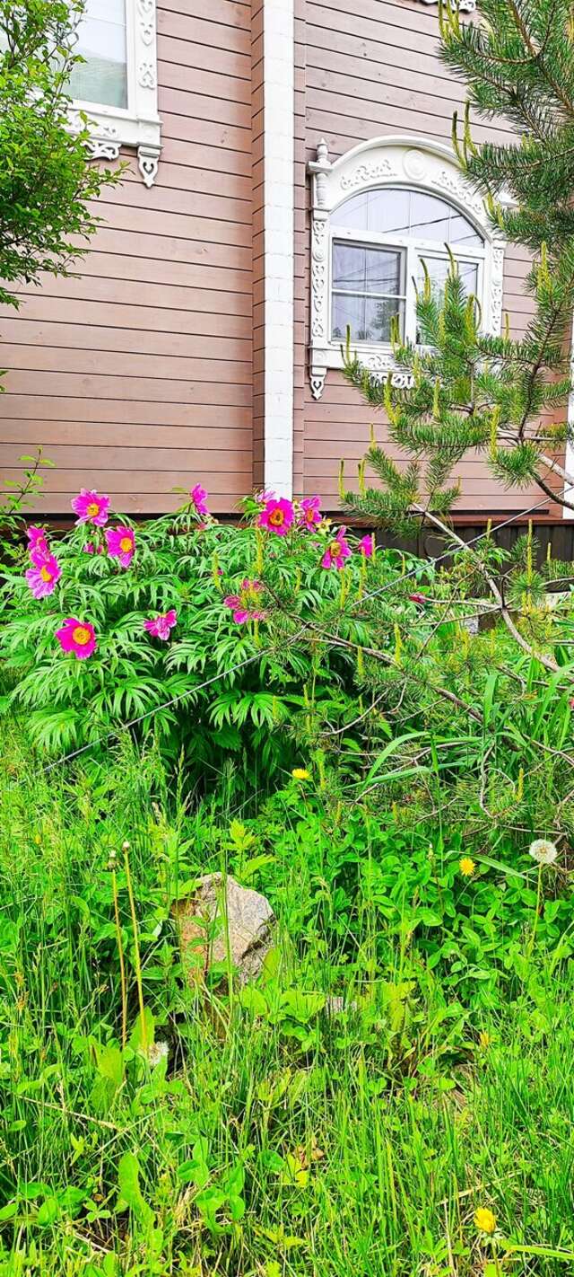 Гостевой дом Усадьба Демидова Листвянка-75