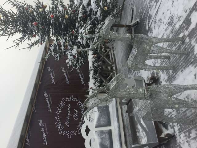 Гостевой дом Усадьба Демидова Листвянка-12