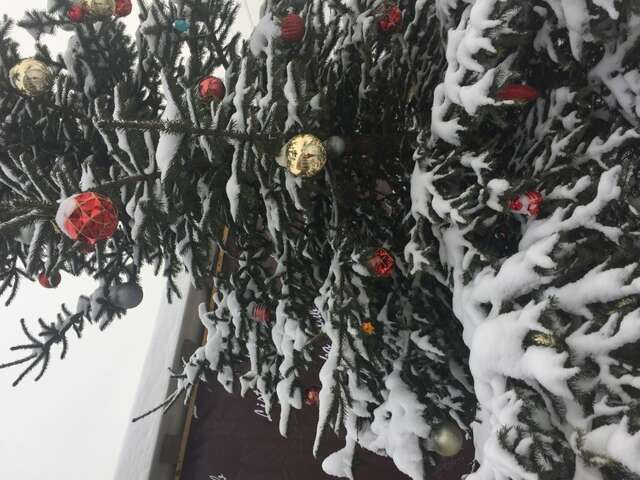 Гостевой дом Усадьба Демидова Листвянка-25